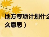 地方专项计划什么意思广东（地方专项计划什么意思）