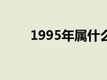 1995年属什么命（1995年属什么）