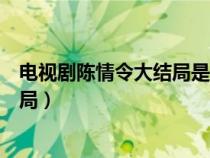 电视剧陈情令大结局是俩人在一起了吗（电视剧陈情令大结局）