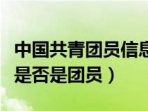 中国共青团员信息查询系统入口（怎么查自己是否是团员）