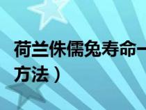 荷兰侏儒兔寿命一般多少年（荷兰侏儒兔饲养方法）