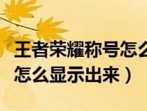 王者荣耀称号怎么显示出来的（王者荣耀称号怎么显示出来）