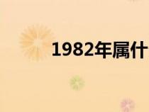 1982年属什么（1980年属什么）