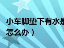 小车脚垫下有水是怎么回事（轿车脚垫下有水怎么办）