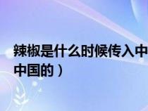 辣椒是什么时候传入中国的百度百科（辣椒是什么时候传入中国的）