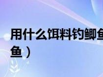 用什么饵料钓鲫鱼不招小鱼（用什么饵料钓鲫鱼）