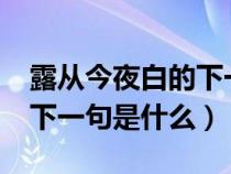 露从今夜白的下一句是什么?（露从今夜白的下一句是什么）