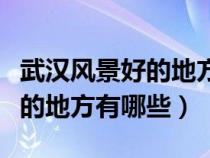 武汉风景好的地方有哪些好玩的（武汉风景好的地方有哪些）