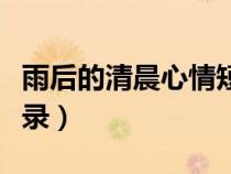 雨后的清晨心情短语早安（雨后的清晨早安语录）