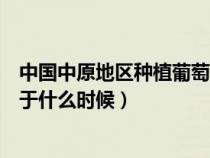 中国中原地区种植葡萄始于何时（中国中原地区种植葡萄始于什么时候）