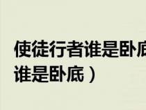 使徒行者谁是卧底谁是黑警电视剧（使徒行者谁是卧底）