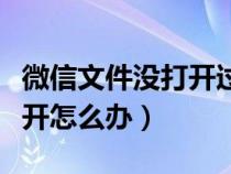 微信文件没打开过期怎么恢复（微信文件打不开怎么办）