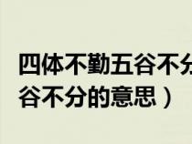 四体不勤五谷不分的意思和造句（四体不勤五谷不分的意思）