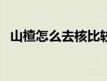 山楂怎么去核比较快视频（山楂怎么去核）