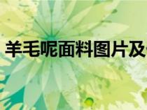 羊毛呢面料图片及价格（羊毛呢是什么面料）