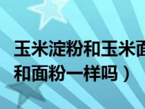 玉米淀粉和玉米面粉是一个东西吗（玉米淀粉和面粉一样吗）