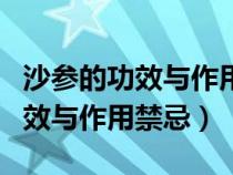 沙参的功效与作用禁忌及食用方法（沙参的功效与作用禁忌）