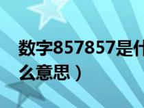 数字857857是什么意思（数字857含义是什么意思）