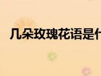 几朵玫瑰花语是什么（几朵玫瑰代表什么）