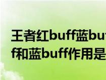 王者红buff蓝buff什么意思（王者荣耀红buff和蓝buff作用是什么）