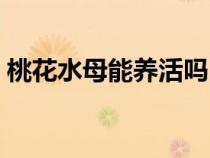 桃花水母能养活吗（桃花水母可以不可以养）