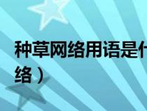 种草网络用语是什么意思（种草是什么意思网络）