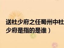 送杜少府之任蜀州中杜少府指的是谁（送杜少府之任蜀州杜少府是指的是谁）