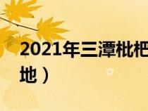 2021年三潭枇杷节是几月几号（三潭枇杷产地）