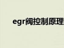 egr阀控制原理（egr阀的原理是什么）