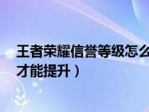 王者荣耀信誉等级怎么提升到5级（王者荣耀信誉等级怎么才能提升）