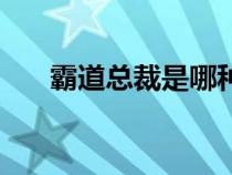 霸道总裁是哪种（霸道总裁什么意思）