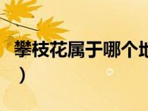 攀枝花属于哪个地级市（攀枝花属于哪个省份）