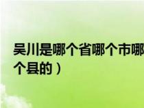 吴川是哪个省哪个市哪个县的城市（吴川是哪个省哪个市哪个县的）