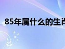 85年属什么的生肖什么命（85年属什么的）