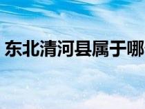 东北清河县属于哪个市（清河县属于哪个市）