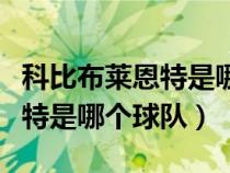 科比布莱恩特是哪个球队的队员（科比布莱恩特是哪个球队）