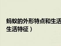 蚂蚁的外形特点和生活特征作文300字（蚂蚁的外形特点和生活特征）