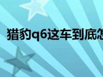 猎豹q6这车到底怎么样（猎豹q6参数配置）