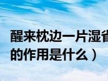 醒来枕边一片湿省略号的作用是什么（省略号的作用是什么）