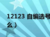 12123 自编选号（12123选号自编规则是什么）