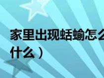 家里出现蛞蝓怎么回事（家里出现蠼螋预示着什么）