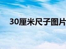 30厘米尺子图片（三十公分大概有多长）