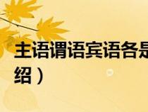 主语谓语宾语各是什么意思（主语谓语宾语介绍）