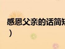 感恩父亲的话简短煽情200字（感恩父亲的话）