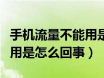 手机流量不能用是怎么回事儿（手机流量不能用是怎么回事）