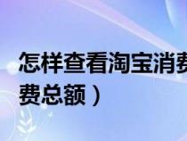 怎样查看淘宝消费总额多少（怎样查看淘宝消费总额）