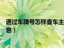 通过车牌号怎样查车主信息查询（通过车牌号怎样查车主信息）