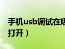 手机usb调试在哪里打开（手机usb调试怎么打开）