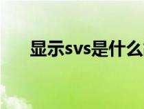 显示svs是什么故障（svs是什么故障）