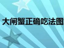 大闸蟹正确吃法图解视频（大闸蟹正确吃法）